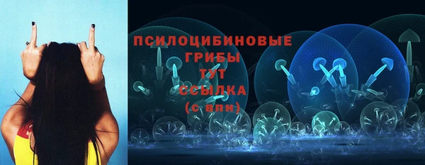 герыч Арсеньев