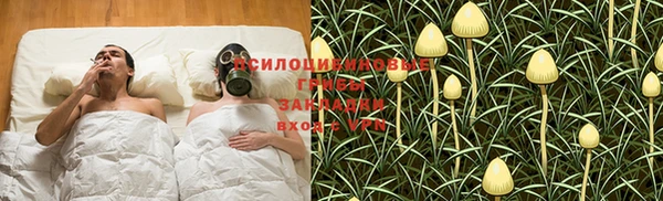 бошки Алексин