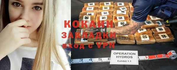 бошки Алексин