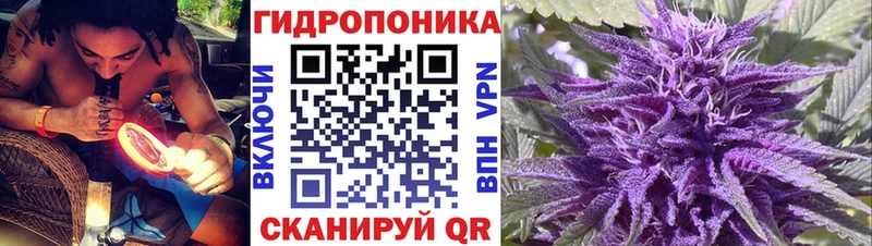Шишки марихуана марихуана  kraken ссылки  Октябрьск  как найти закладки 